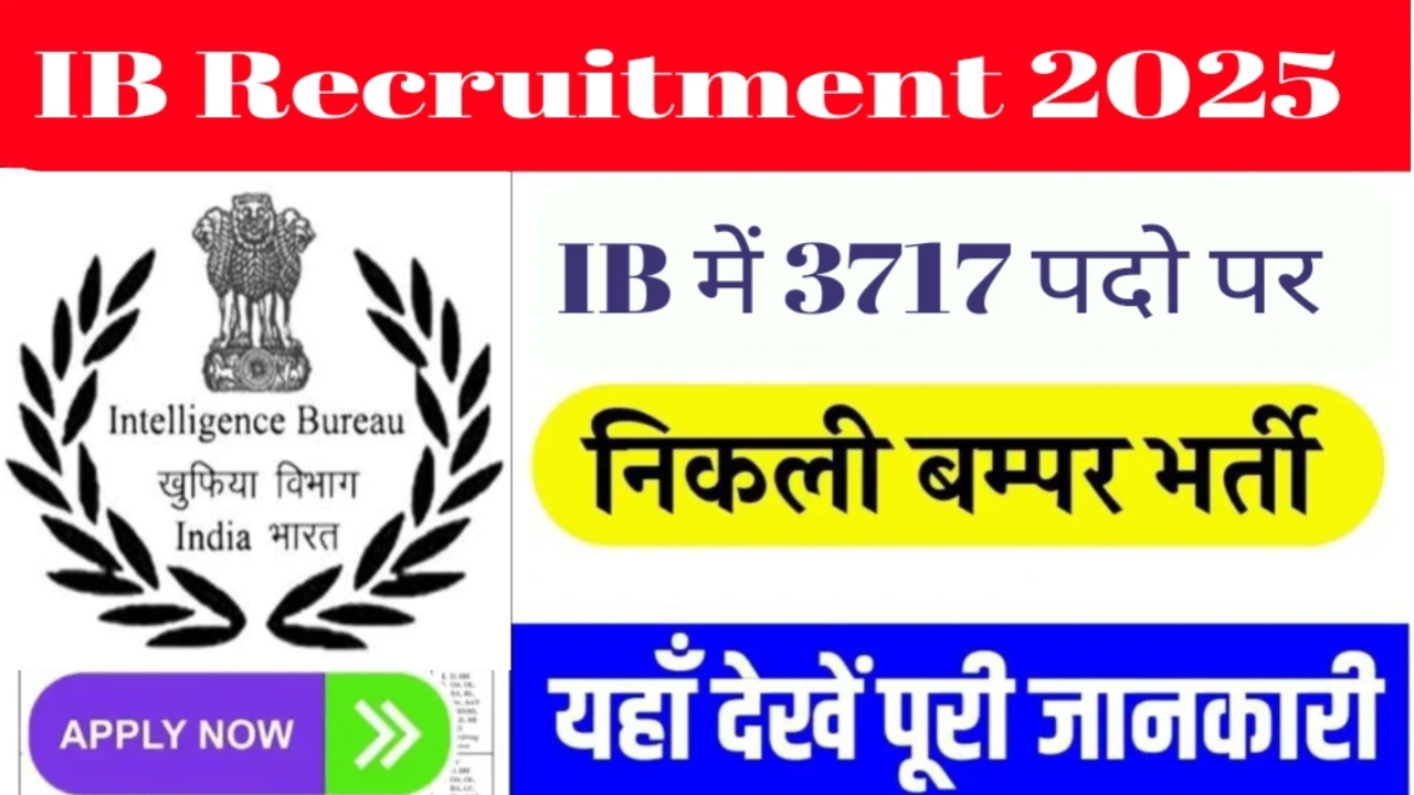 ib
