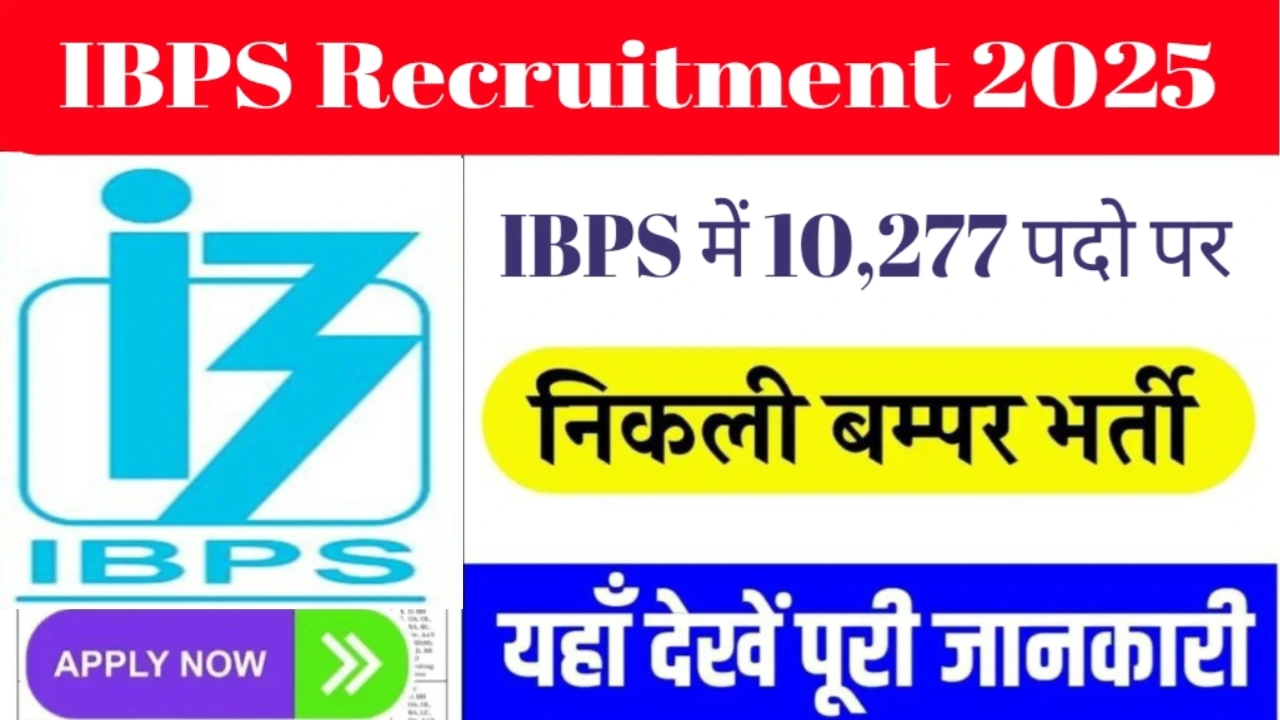 ibps