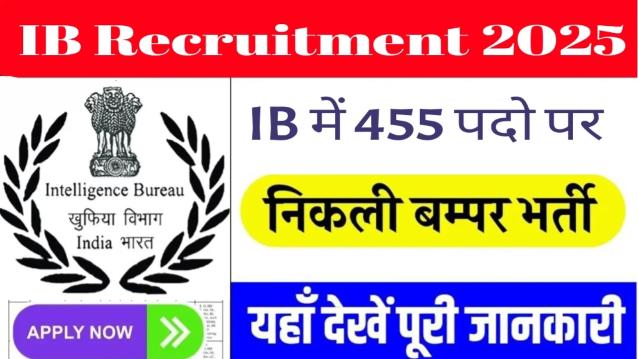 ibsa
